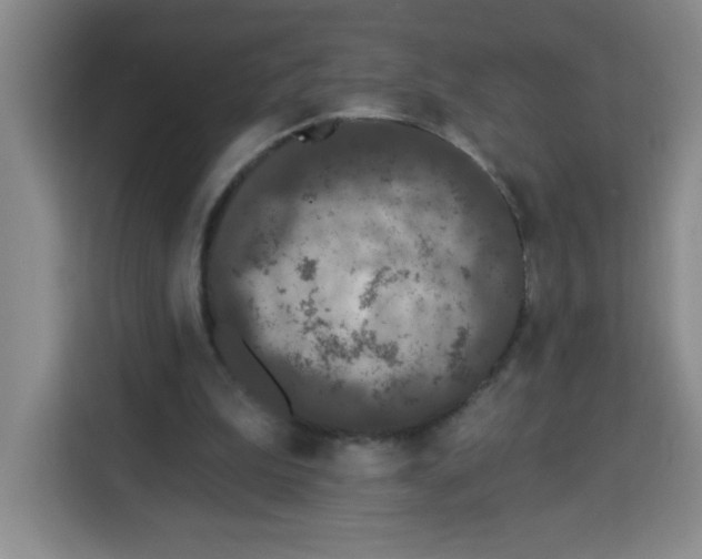 X0000113270199200910221106