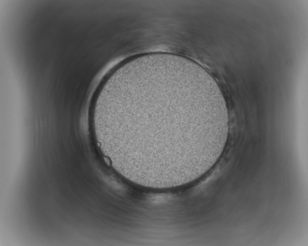 X0000113270200200910221106