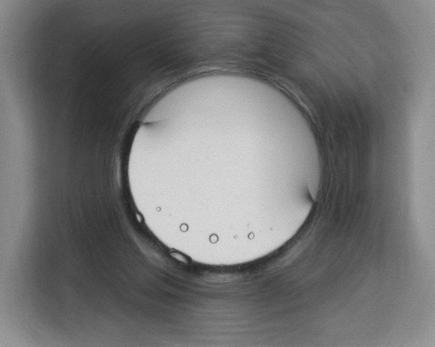 X0000113270205200910221106