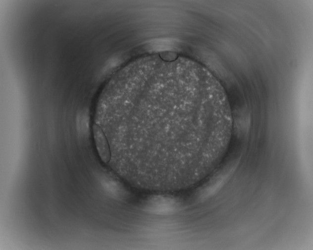 X0000113270207200910221106