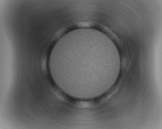 X0000113270209200910221106