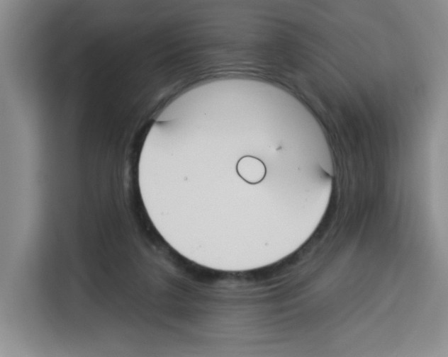 X0000113270211200910221106