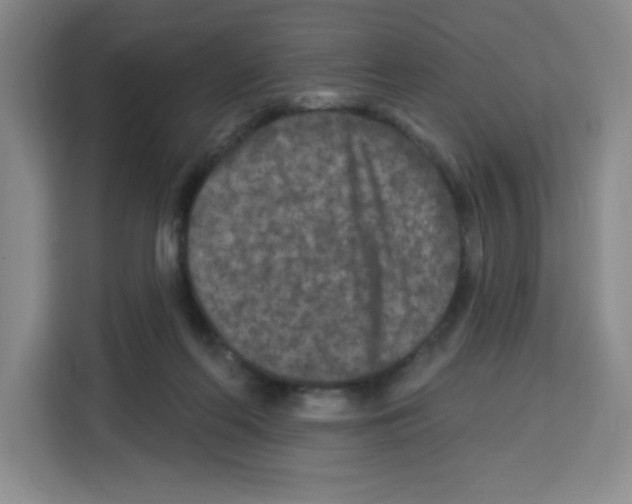 X0000113270214200910221105