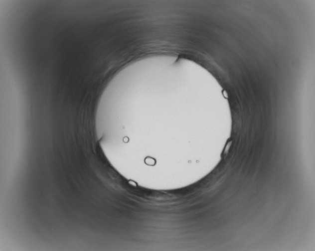 X0000113270215200910221105