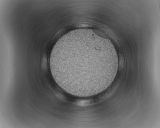 X0000113270220200910221105