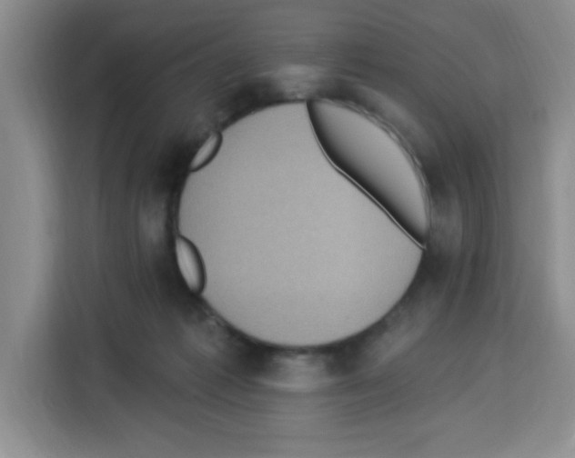 X0000113270221200910221105