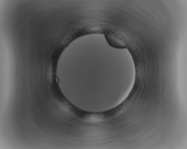 X0000113270223200910221105