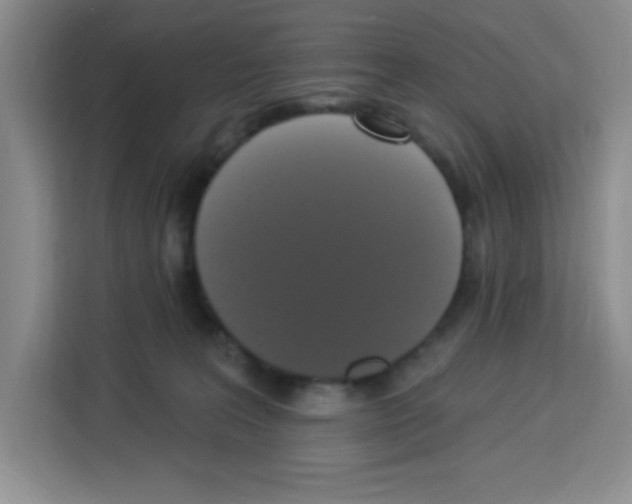 X0000113270227200910221105