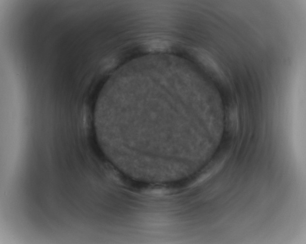 X0000113270228200910221105