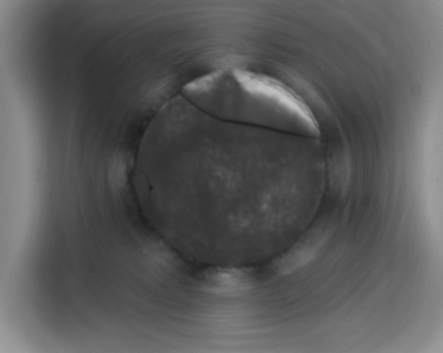 X0000113270229200910221105