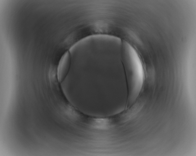 X0000113270233200910221105