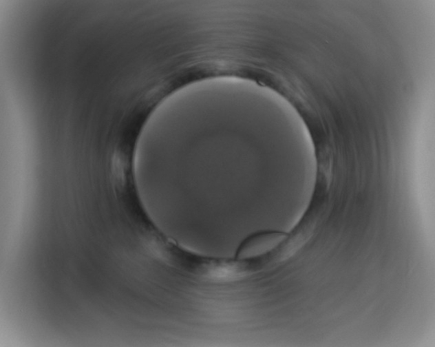 X0000113270235200910221105