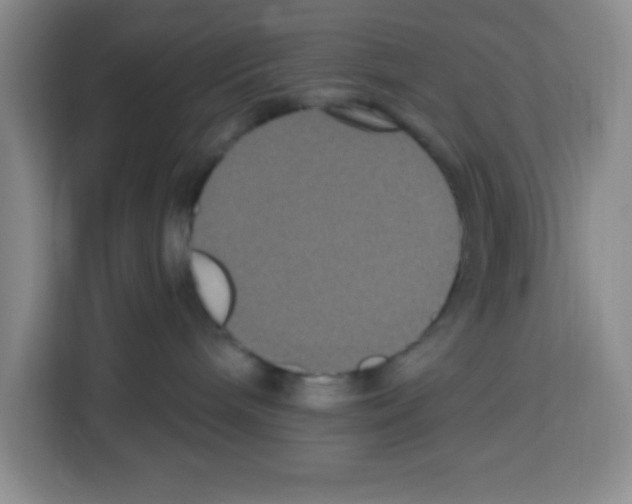 X0000113270240200910221105