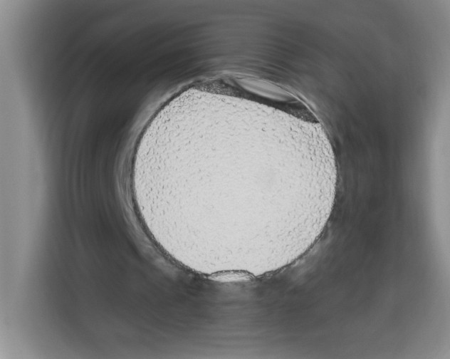 X0000113270241200910221105