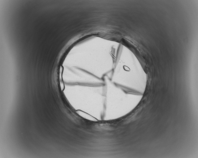 X0000113270244200910221105