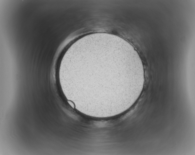 X0000113270246200910221105