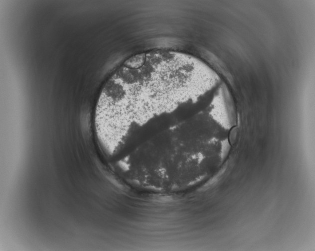 X0000113270249200910221105