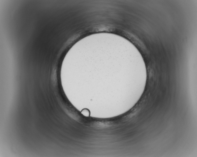 X0000113270250200910221105