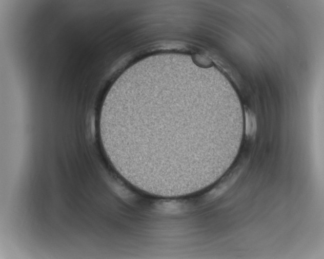 X0000113270253200910221105