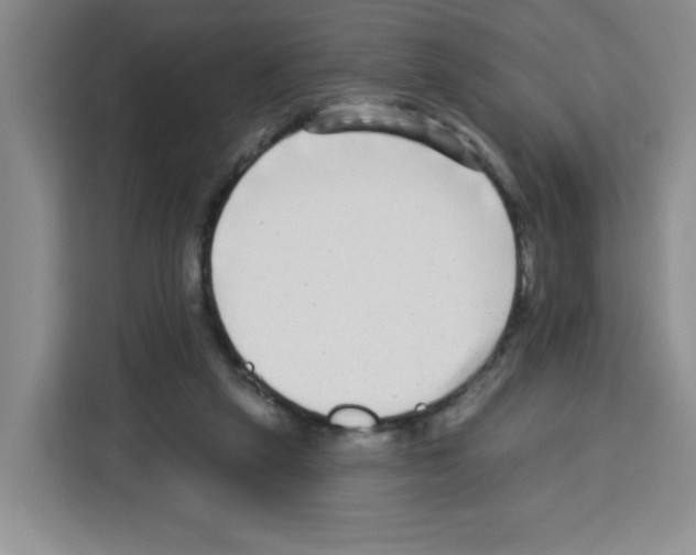 X0000113270257200910221105