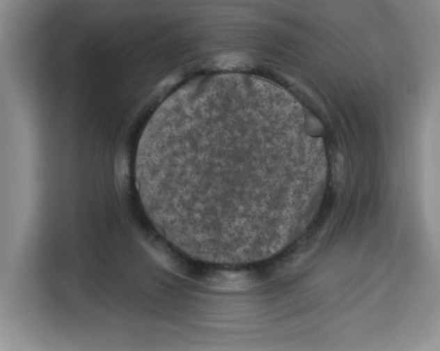 X0000113270260200910221105