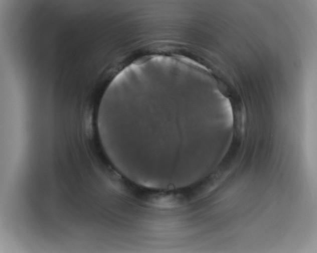 X0000113270267200910221105