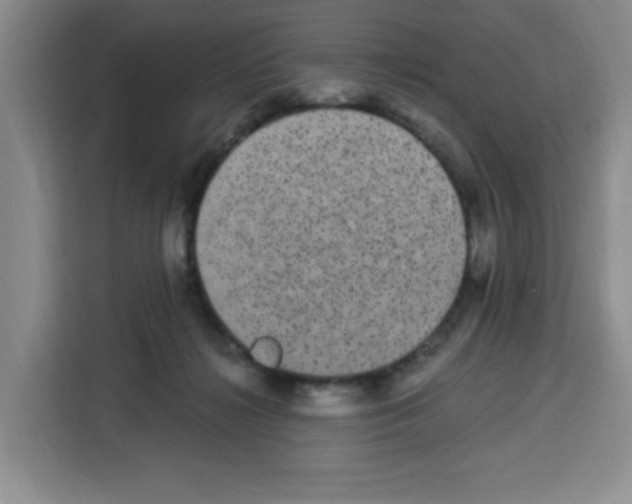 X0000113270268200910221105