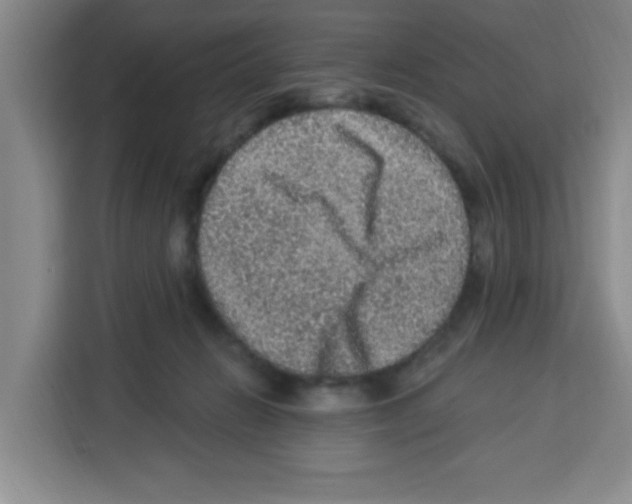 X0000113270270200910221105