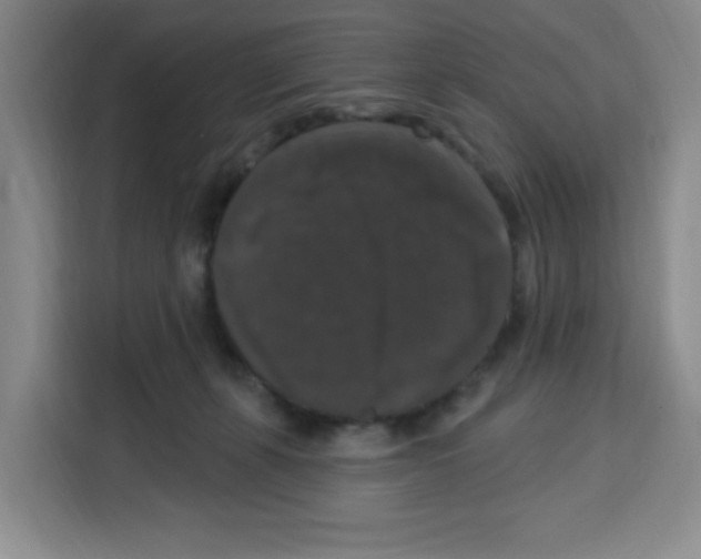 X0000113270271200910221105