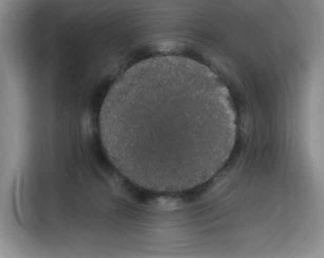 X0000113270272200910221105