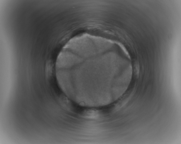 X0000113270276200910221105