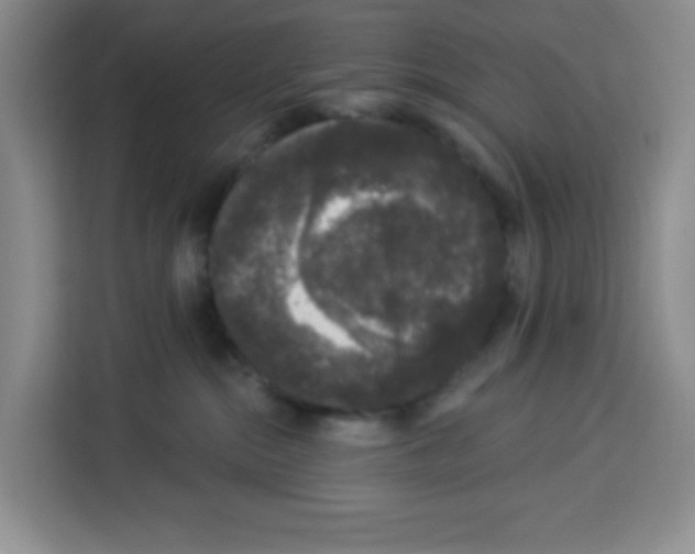 X0000113270284200910221105