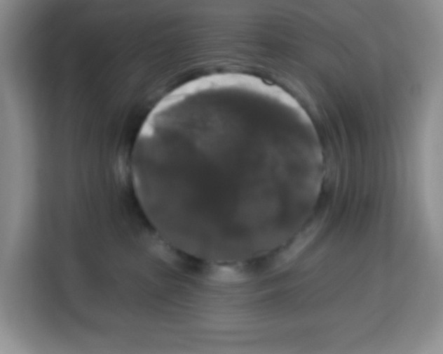 X0000113270285200910221105