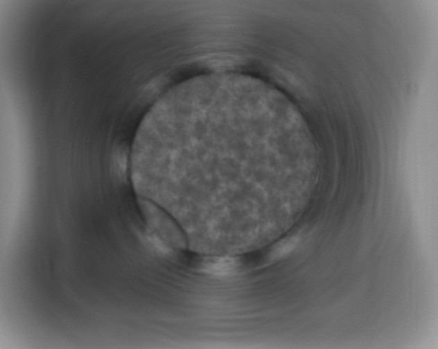 X0000113270288200910221105