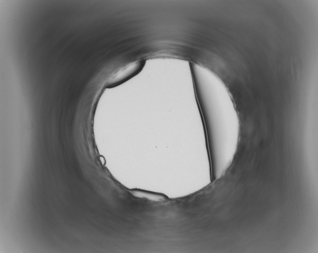 X0000113270289200910221105