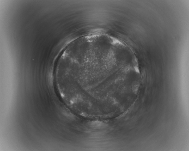 X0000113270290200910221105