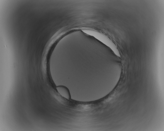 X0000113270295200910221104