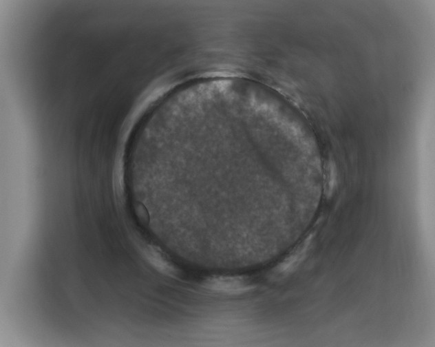 X0000113270296200910221104