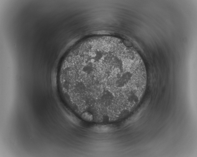 X0000113270299200910221104