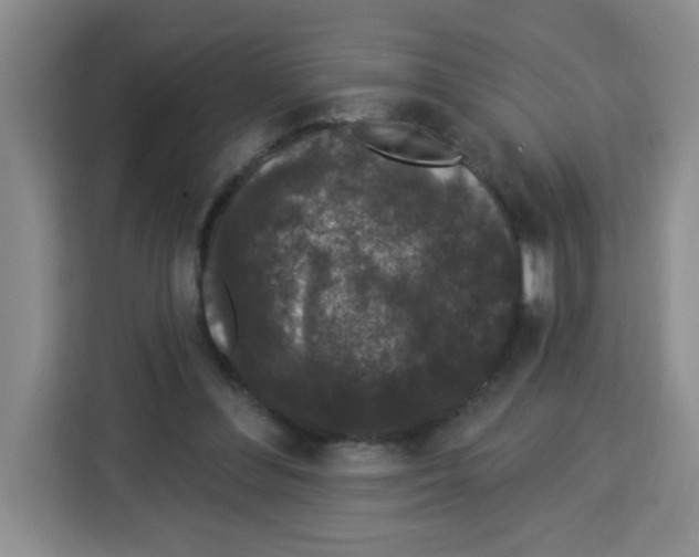 X0000113270300200910221104