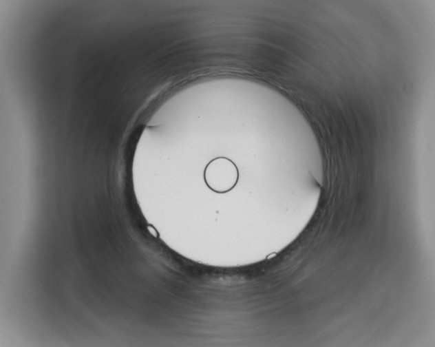 X0000113270304200910221104