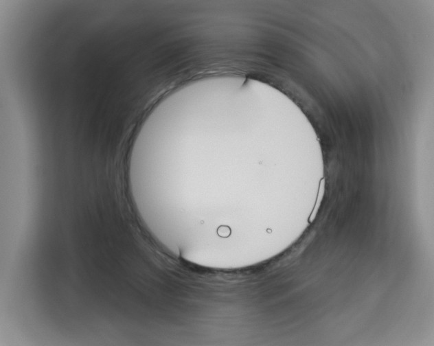 X0000113270305200910221104