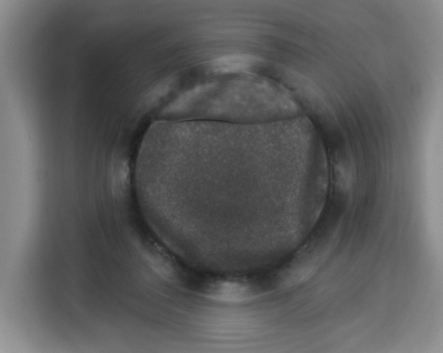 X0000113270308200910221104