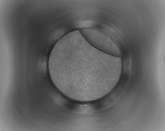 X0000113270309200910221104