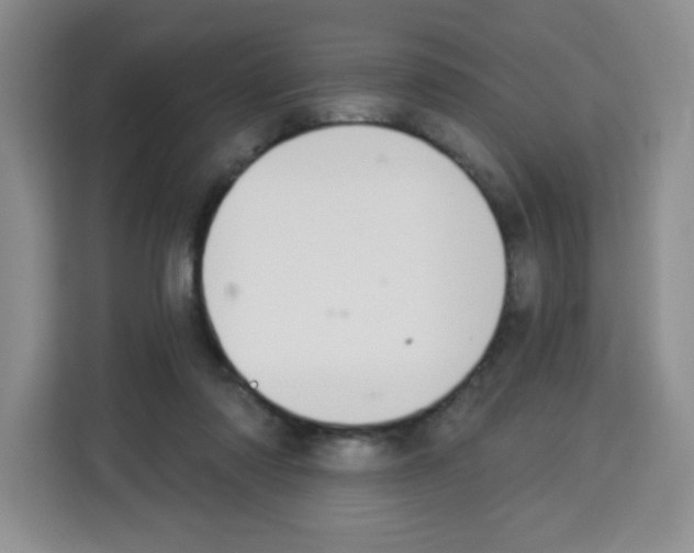 X0000113270310200910221104