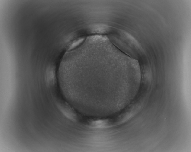 X0000113270312200910221104