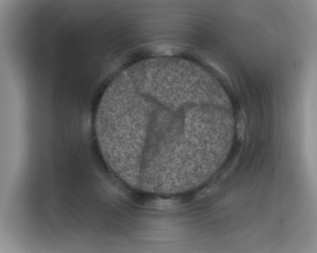 X0000113270314200910221104