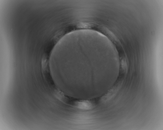 X0000113270322200910221104