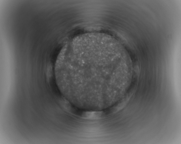 X0000113270323200910221104