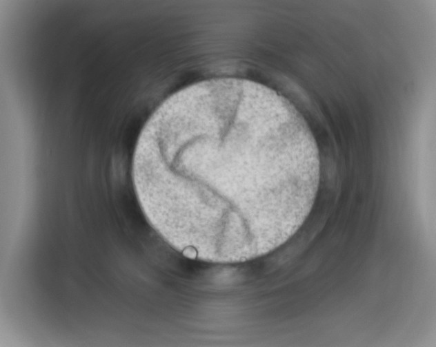 X0000113270326200910221104